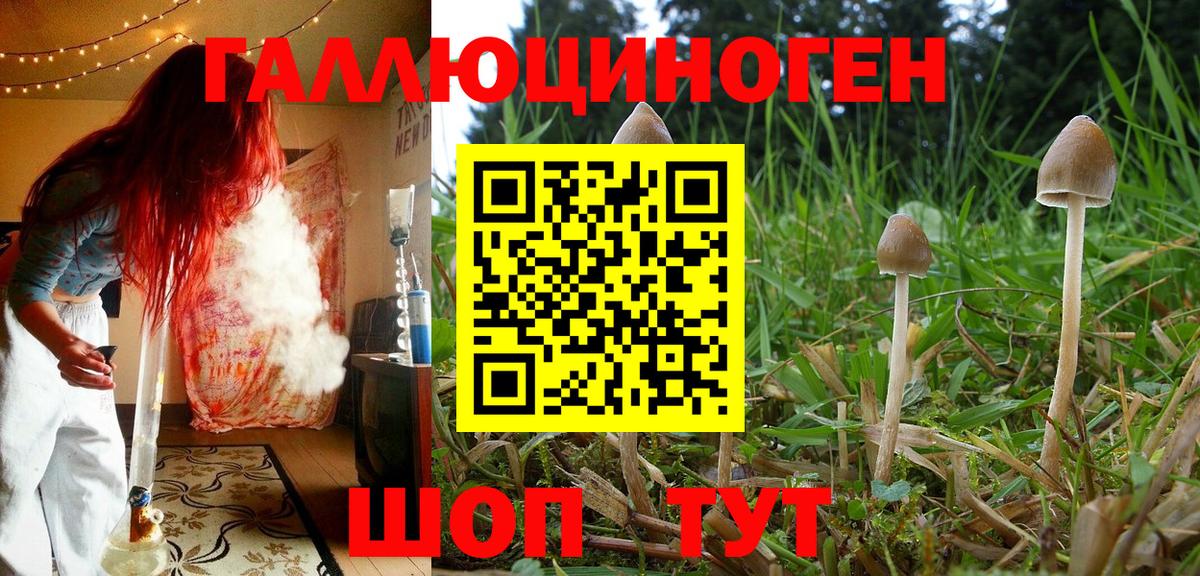 Галлюциногенные грибы Magic Shrooms  Галлюциногенные грибы Psilocybe  Вход с VPN  Заволжье 
